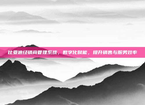 比亚迪经销商管理系统，数字化赋能，提升销售与服务效率