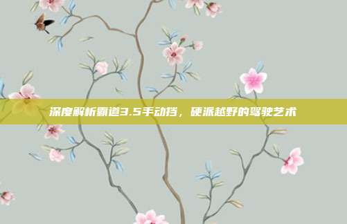 深度解析霸道3.5手动挡，硬派越野的驾驶艺术