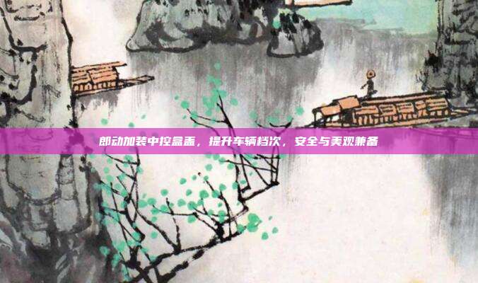郎动加装中控盒盖，提升车辆档次，安全与美观兼备