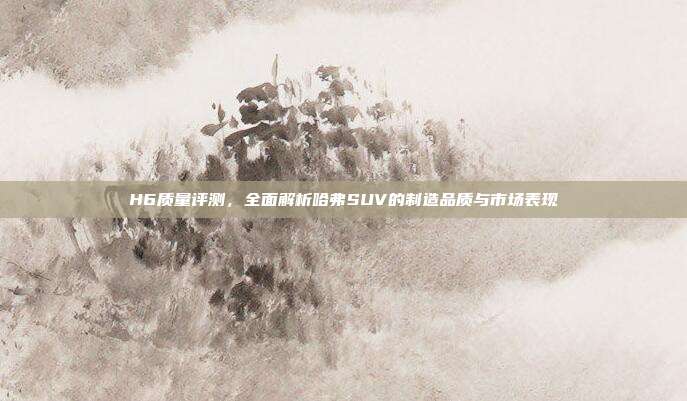 H6质量评测，全面解析哈弗SUV的制造品质与市场表现