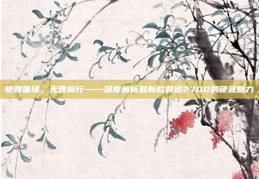 驰骋疆场，无畏前行——深度解析最新款霸道2700的硬派魅力