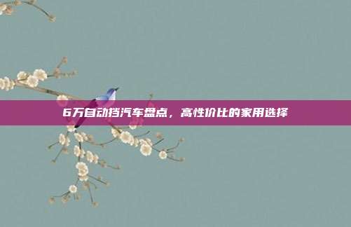6万自动挡汽车盘点，高性价比的家用选择