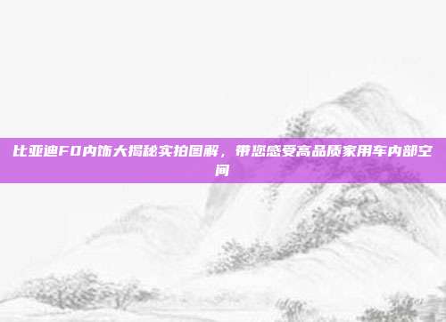 比亚迪F0内饰大揭秘实拍图解，带您感受高品质家用车内部空间