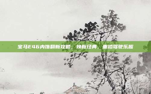 宝马E46内饰翻新攻略，焕新经典，重拾驾驶乐趣