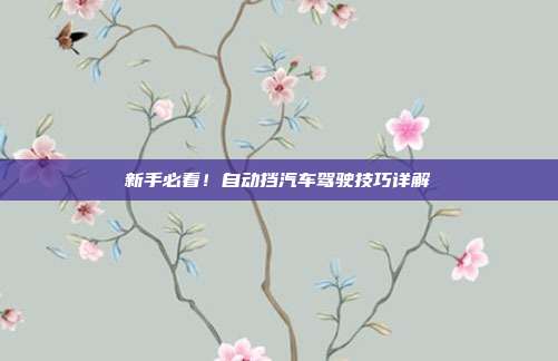 新手必看！自动挡汽车驾驶技巧详解