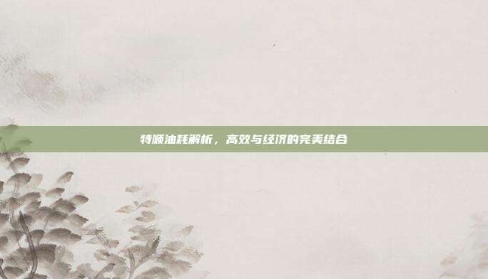 特顺油耗解析，高效与经济的完美结合