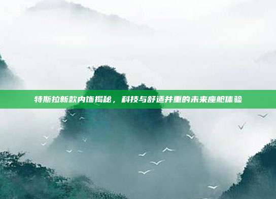 特斯拉新款内饰揭秘，科技与舒适并重的未来座舱体验