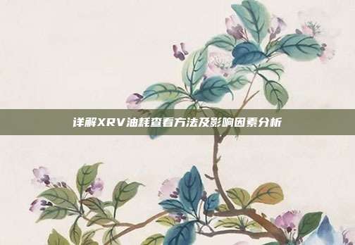 详解XRV油耗查看方法及影响因素分析