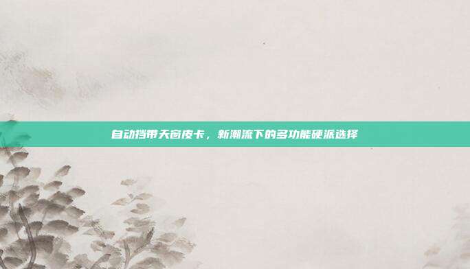 自动挡带天窗皮卡，新潮流下的多功能硬派选择