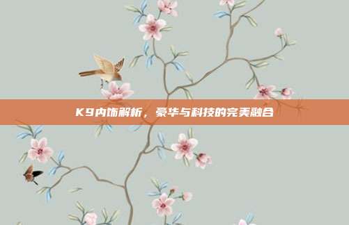 K9内饰解析，豪华与科技的完美融合