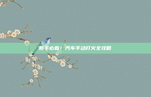 新手必看！汽车手动打火全攻略