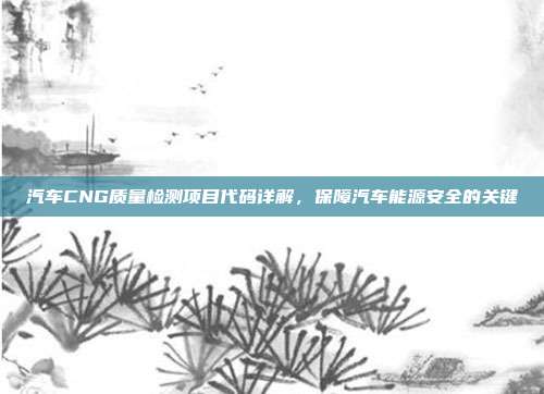 汽车CNG质量检测项目代码详解，保障汽车能源安全的关键