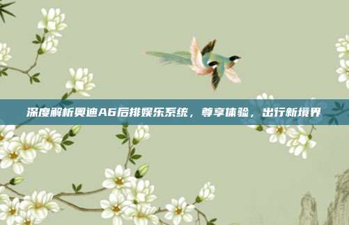 深度解析奥迪A6后排娱乐系统，尊享体验，出行新境界
