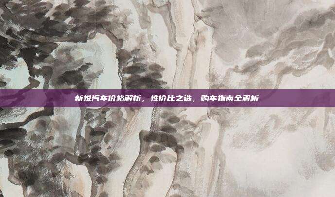 新悦汽车价格解析，性价比之选，购车指南全解析