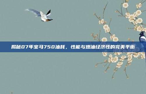 揭秘07年宝马750油耗，性能与燃油经济性的完美平衡