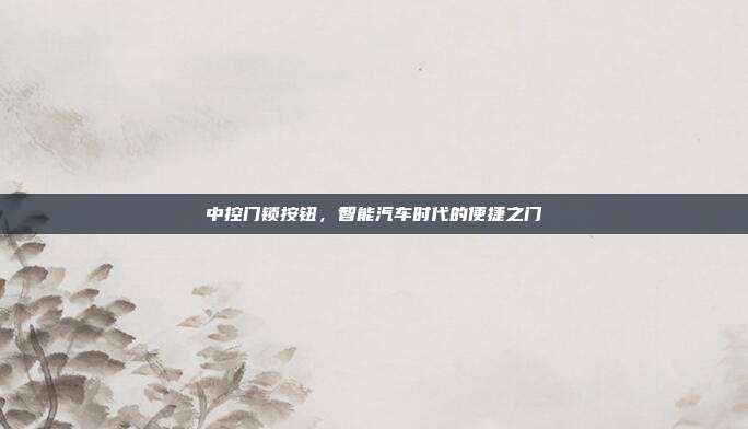 中控门锁按钮，智能汽车时代的便捷之门