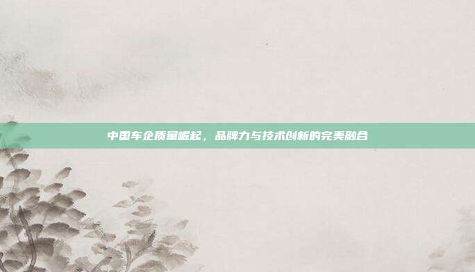 中国车企质量崛起，品牌力与技术创新的完美融合