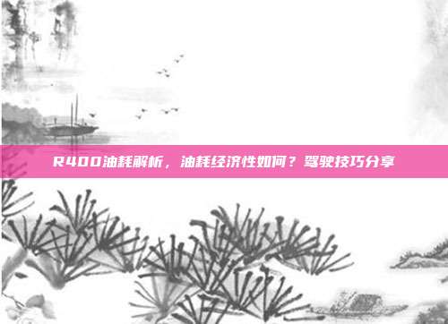 R400油耗解析，油耗经济性如何？驾驶技巧分享