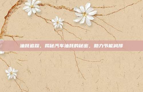 油耗追踪，揭秘汽车油耗的秘密，助力节能减排