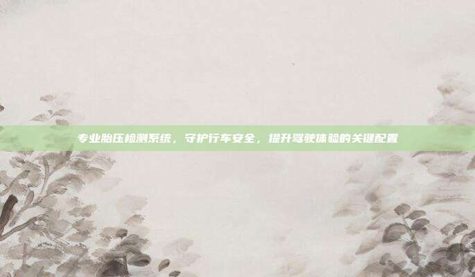 专业胎压检测系统，守护行车安全，提升驾驶体验的关键配置