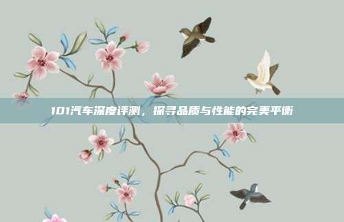 101汽车深度评测，探寻品质与性能的完美平衡