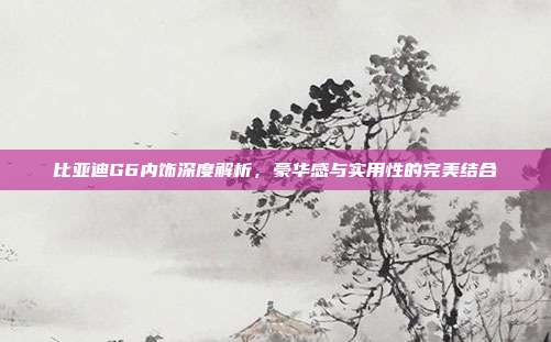 比亚迪G6内饰深度解析，豪华感与实用性的完美结合