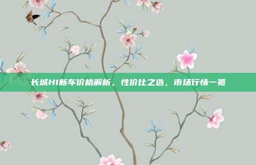 长城H1新车价格解析，性价比之选，市场行情一览