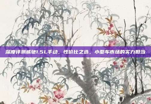 深度评测威驰1.5L手动，性价比之选，小型车市场的实力担当