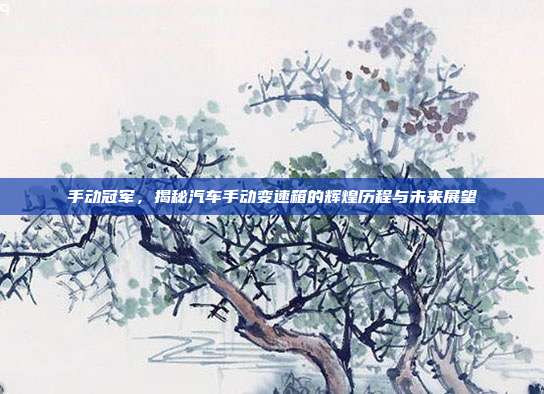 手动冠军，揭秘汽车手动变速箱的辉煌历程与未来展望
