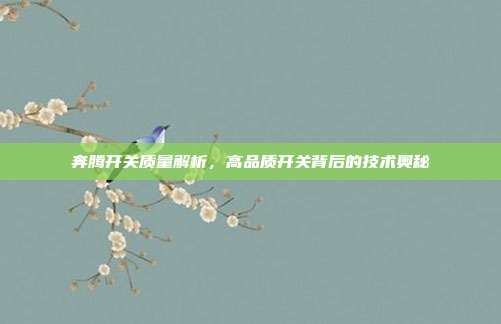 奔腾开关质量解析，高品质开关背后的技术奥秘