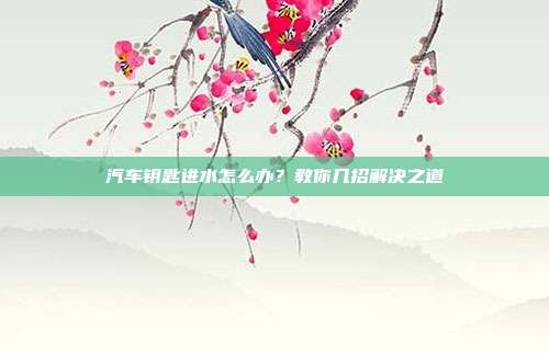 汽车钥匙进水怎么办？教你几招解决之道