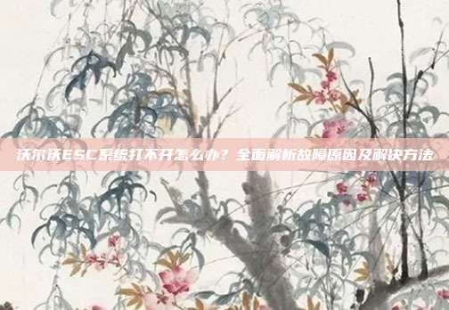 沃尔沃ESC系统打不开怎么办？全面解析故障原因及解决方法