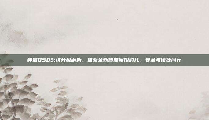 绅宝D50系统升级解析，体验全新智能驾控时代，安全与便捷同行