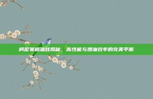 柯尼赛格油耗揭秘，高性能与燃油效率的完美平衡