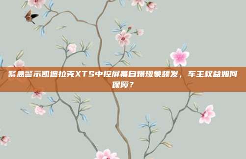 紧急警示凯迪拉克XTS中控屏幕自爆现象频发，车主权益如何保障？