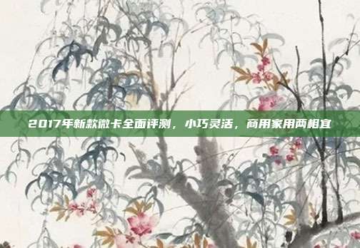 2017年新款微卡全面评测，小巧灵活，商用家用两相宜
