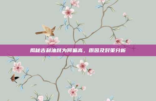 揭秘吉利油耗为何偏高，原因及对策分析