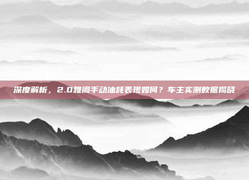 深度解析，2.0雅阁手动油耗表现如何？车主实测数据揭晓