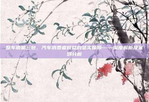 整车质量三包，汽车消费者权益的坚实保障——深度解析及案例分析