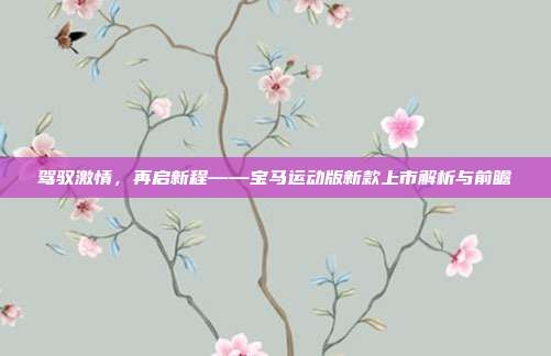 驾驭激情，再启新程——宝马运动版新款上市解析与前瞻