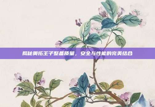 揭秘奥拓王子整备质量，安全与性能的完美结合