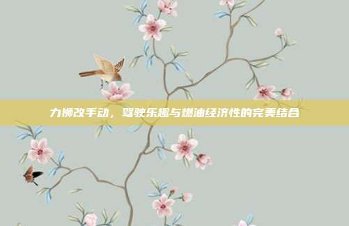 力狮改手动，驾驶乐趣与燃油经济性的完美结合