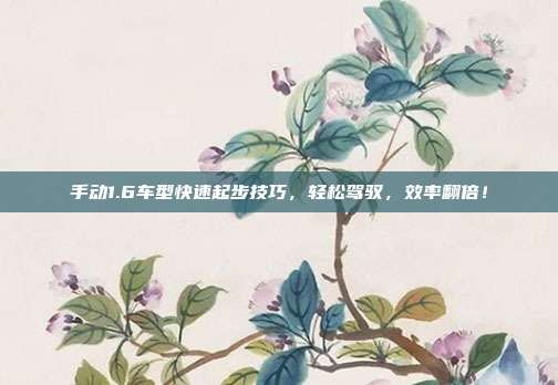 手动1.6车型快速起步技巧，轻松驾驭，效率翻倍！