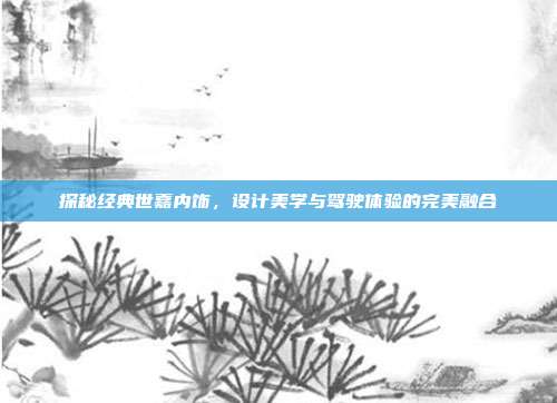 探秘经典世嘉内饰，设计美学与驾驶体验的完美融合