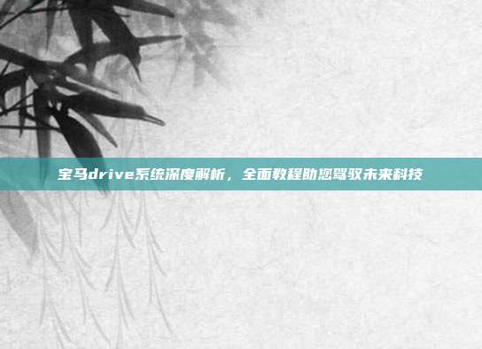 宝马drive系统深度解析，全面教程助您驾驭未来科技