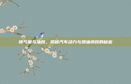 排气量与油耗，揭秘汽车动力与燃油消耗的秘密