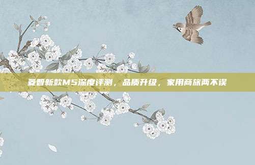 菱智新款M5深度评测，品质升级，家用商旅两不误