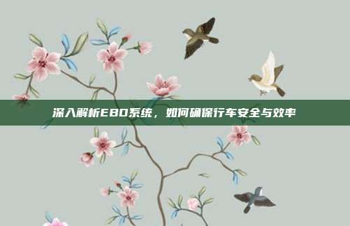 深入解析EBD系统，如何确保行车安全与效率