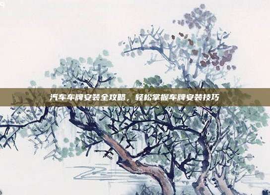 汽车车牌安装全攻略，轻松掌握车牌安装技巧