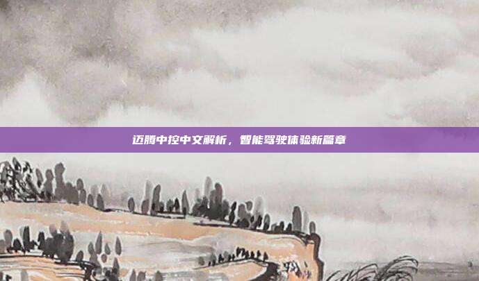 迈腾中控中文解析，智能驾驶体验新篇章